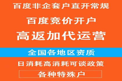 百度竞价运营的挑战与机遇：成功案例探讨